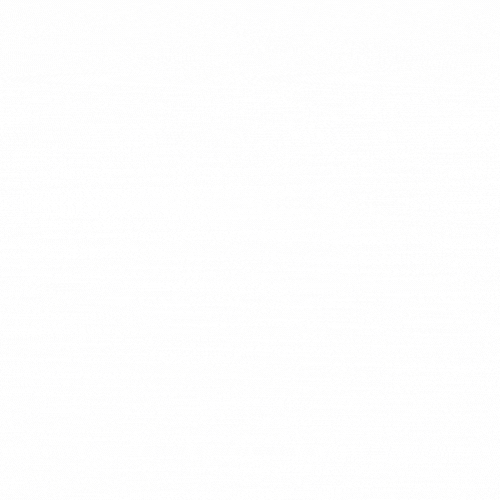 Laura S.A.C.I.